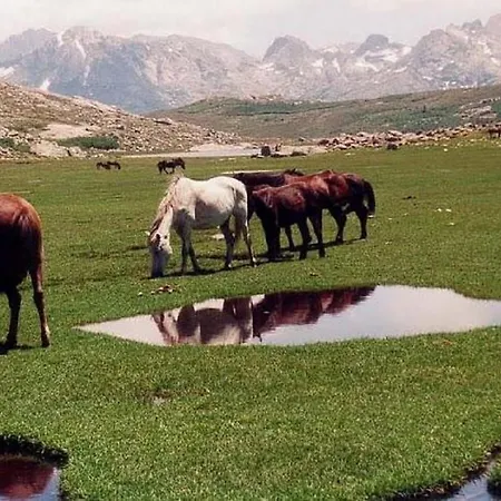 U Melu Grand T2 A L'etage Daire