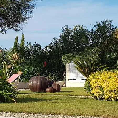 Résidence U Melu Grand T2 à L'étage