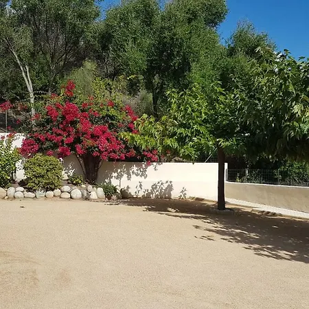 Résidence U Melu Grand T2 à L'étage Appartamento Tiuccia