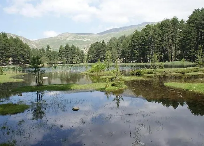 Appartement Résidence U Melu Grand T2 à L'étage