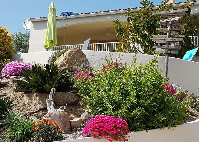 U Melu Grand T2 A L'etage Tiuccia