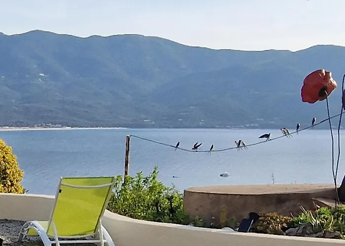 Résidence U Melu Grand T2 à L'étage * Tiuccia