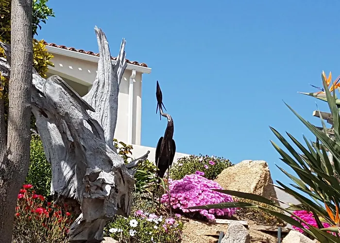 Appartement Résidence U Melu Grand T2 à L'étage