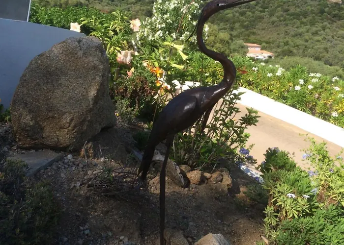 Appartement Résidence U Melu Grand T2 à L'étage Tiuccia