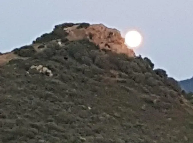 Appartement Résidence U Melu Grand T2 à L'étage